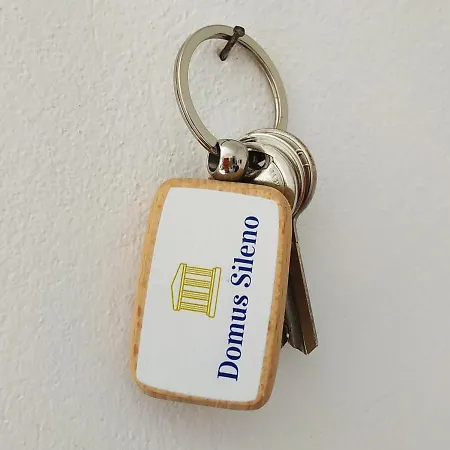 Domus Sileno Apartment